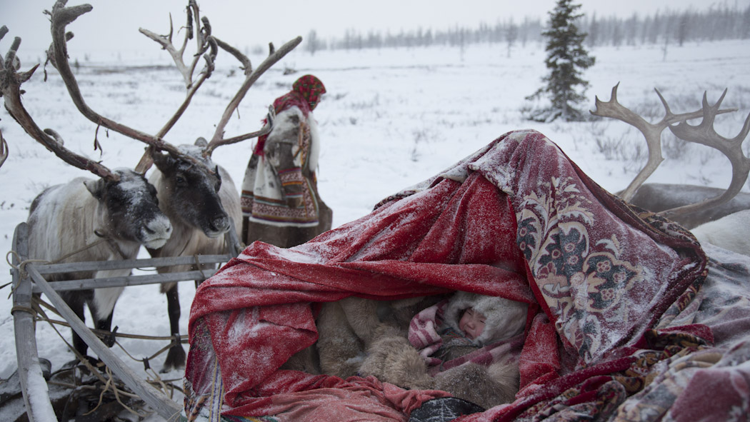 Nenets Siberia