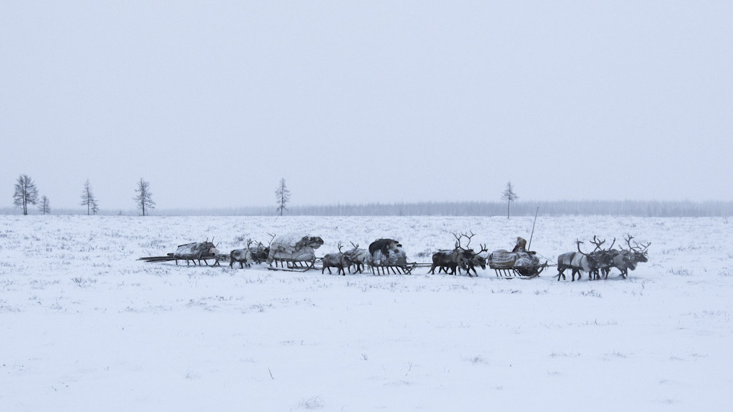 Nenets Siberia