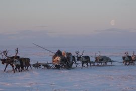 WEB_Nenets-6