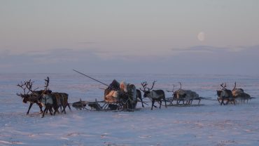 WEB_Nenets-6