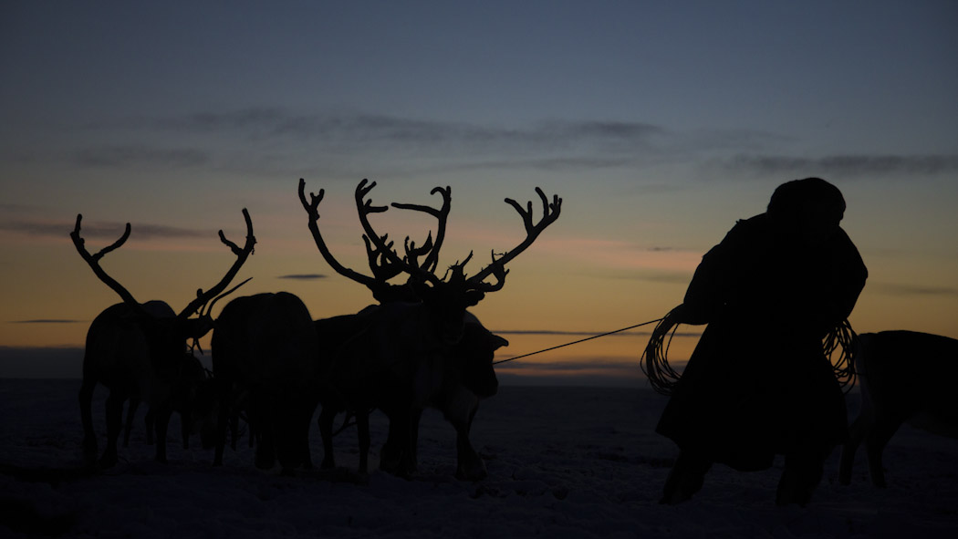 Nenets Siberia