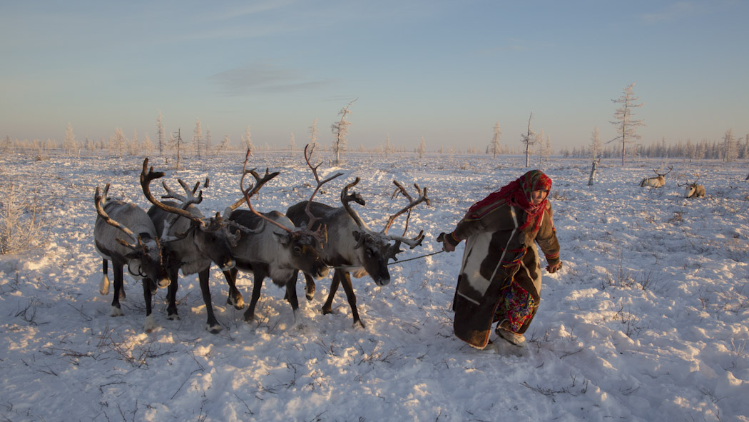 Nenets Siberia