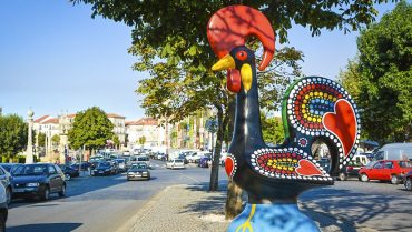 The barcelos rooster