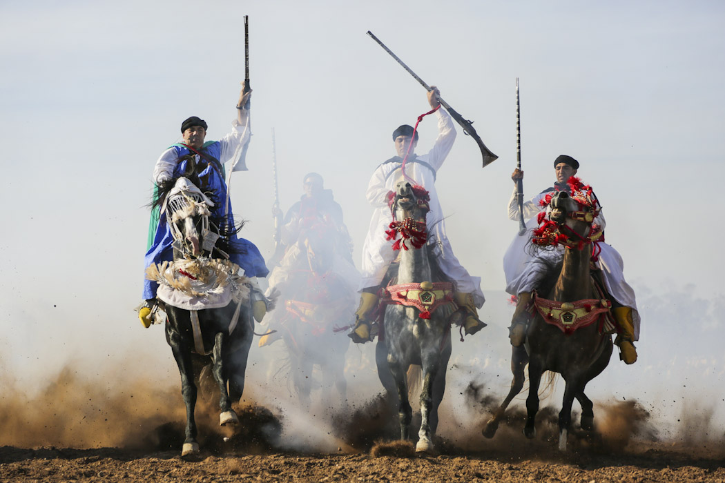 The Tbourida in Morocco