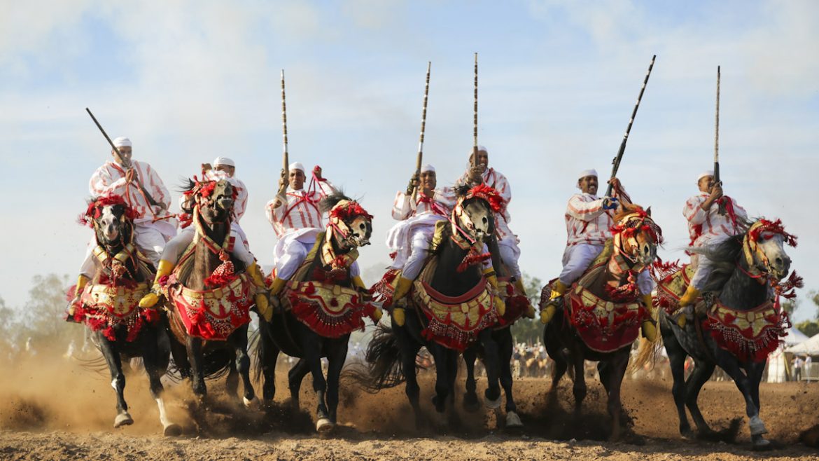 The Tbourida in Morocco