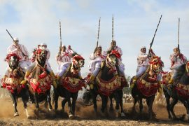 The Tbourida in Morocco