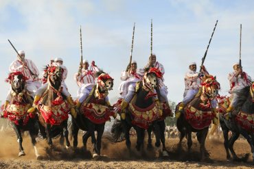 The Tbourida in Morocco