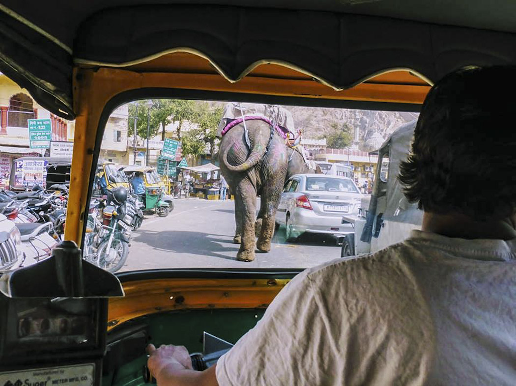 WEB_Jaipur divers traffic_Amber Fort