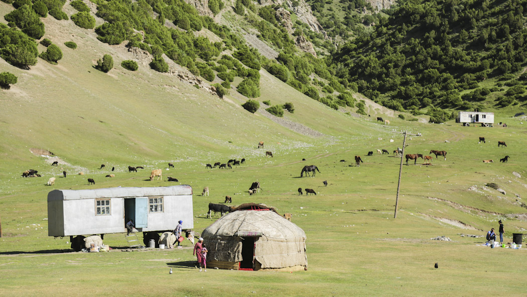 Reasons to visit Kyrgyzstan alay valley