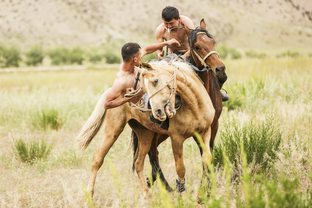 Reasons to visit Kyrgyzstan festivals