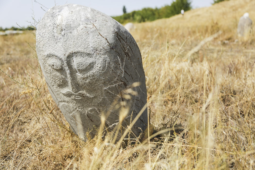 Reasons to visit Kyrgyzstan petroglyphs