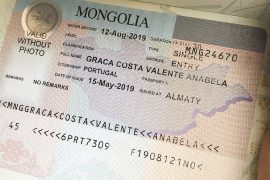 mongolian visa