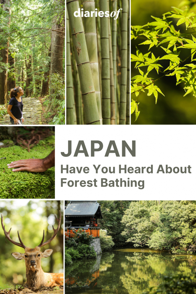 Japan-Have-You-Heard-About-Forest-Bathing