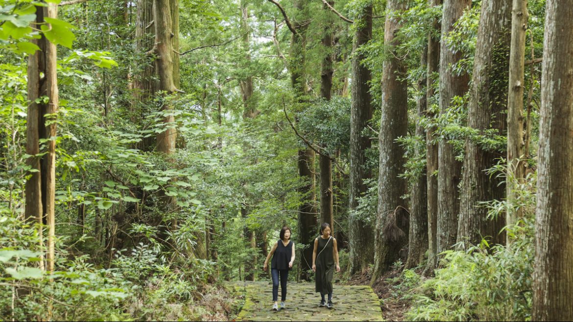 Forest bathing therapy in Japan - how to forest bath as a therapy