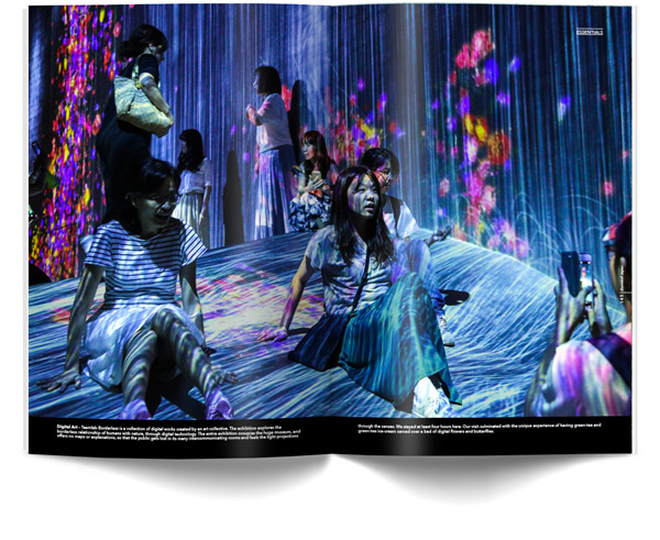 diariesof-Japan-Tokyo-teamLab-Borderless-Interactive-Digital-Art-Museum