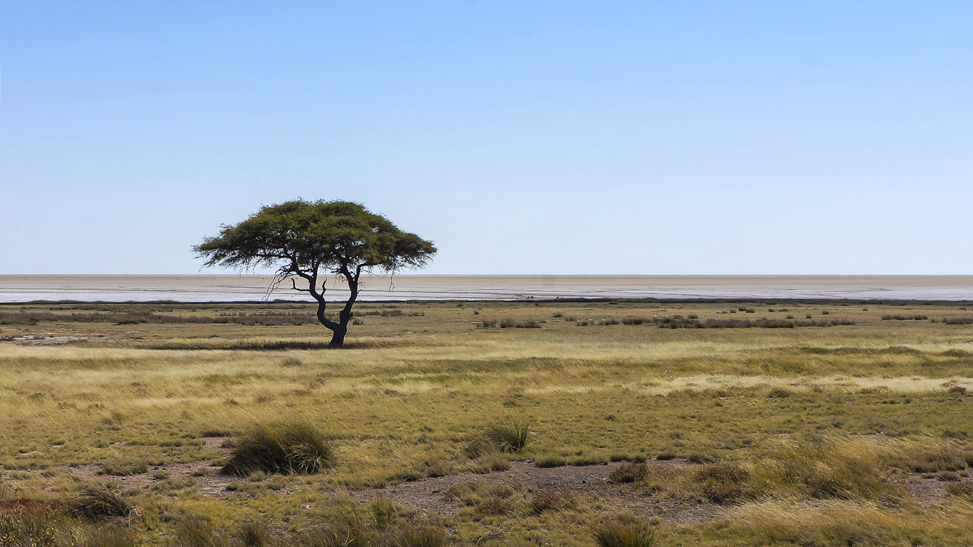 WEB_Etosha