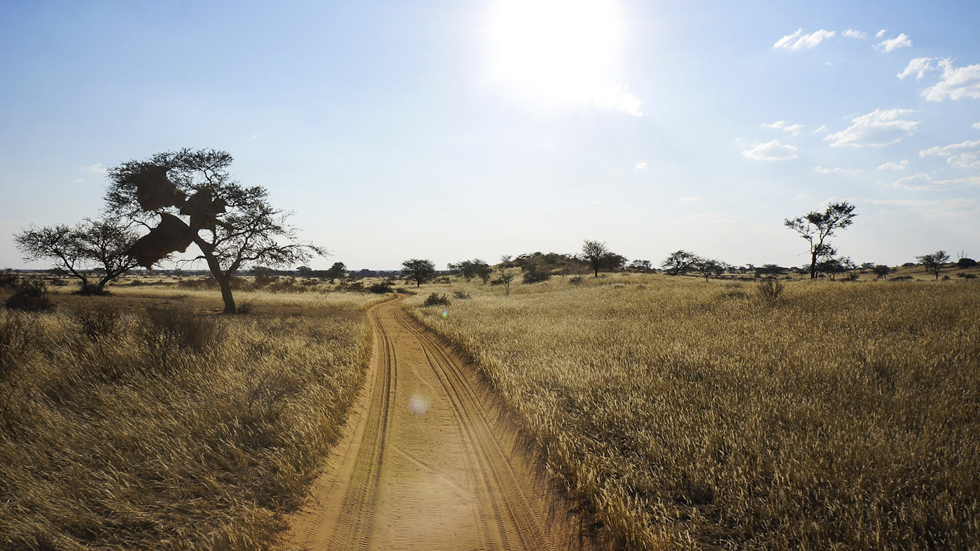 WEB_Kalahari-lodge