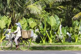 WEB_IMG_8490