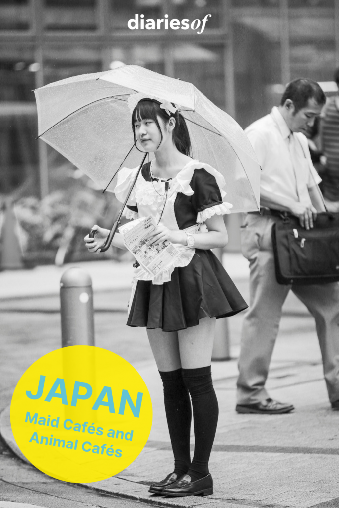 Diariesof-Japan-Maid-Cafés-and-Animal-Cafés