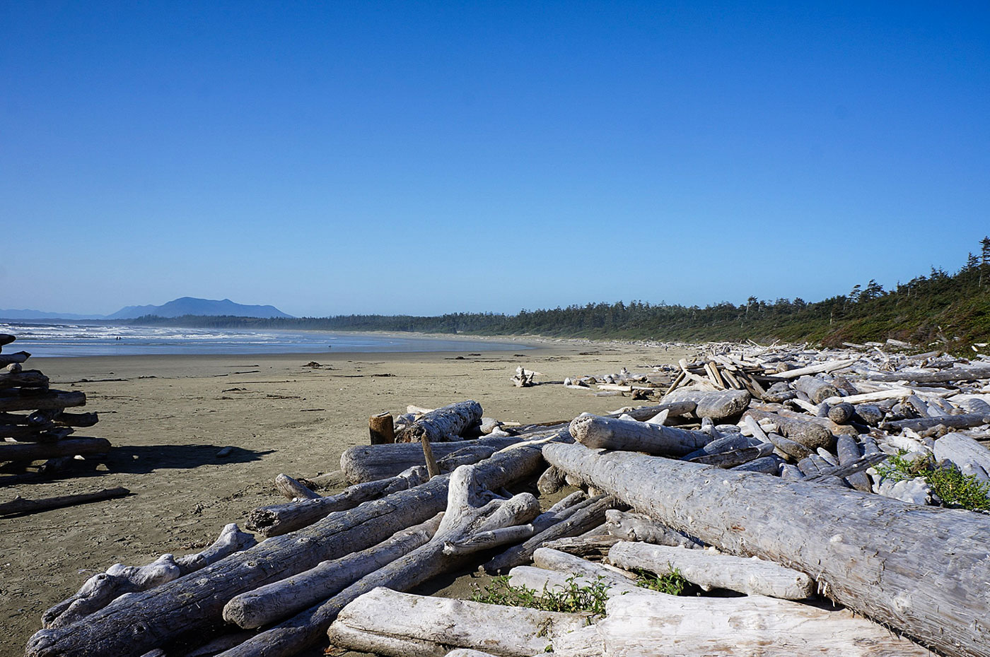 diariesof-canada-Long-Beach