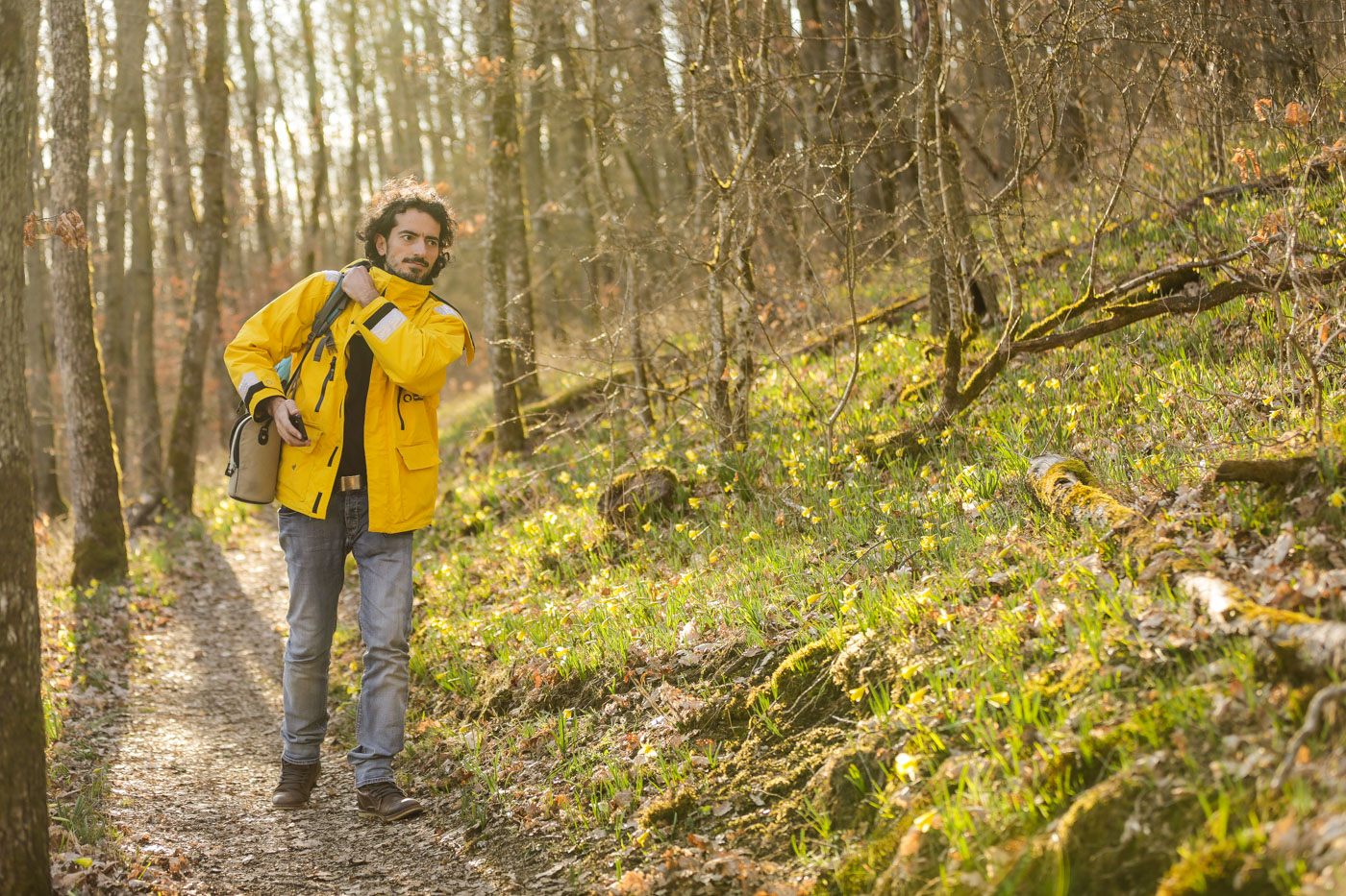 diariesof-daffodils-forest-lellingen-luxembourg-9777