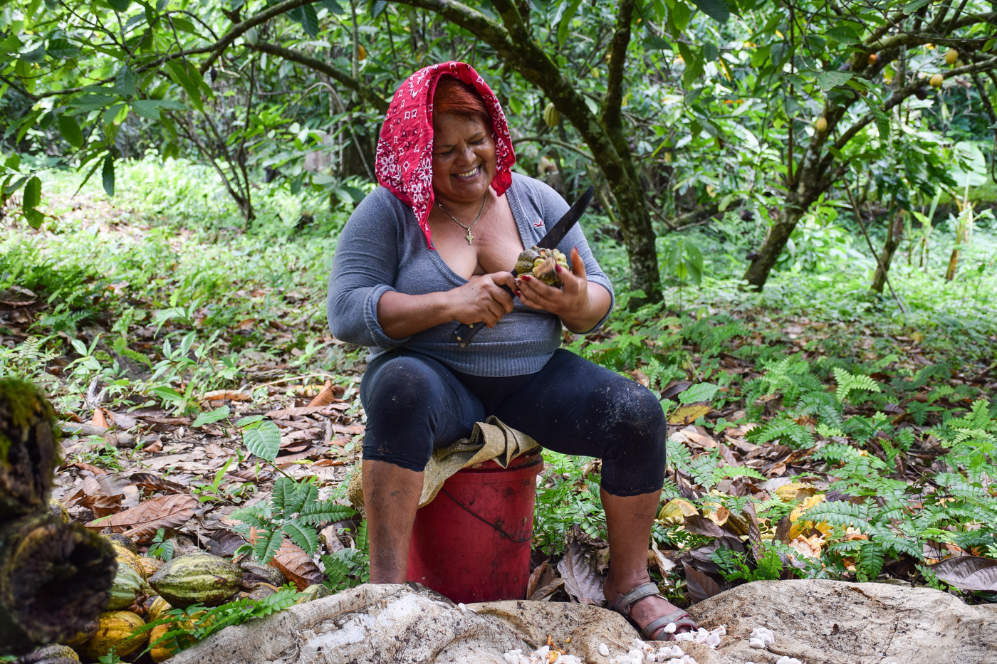 Woman opening a Cacao fruit in El Valle