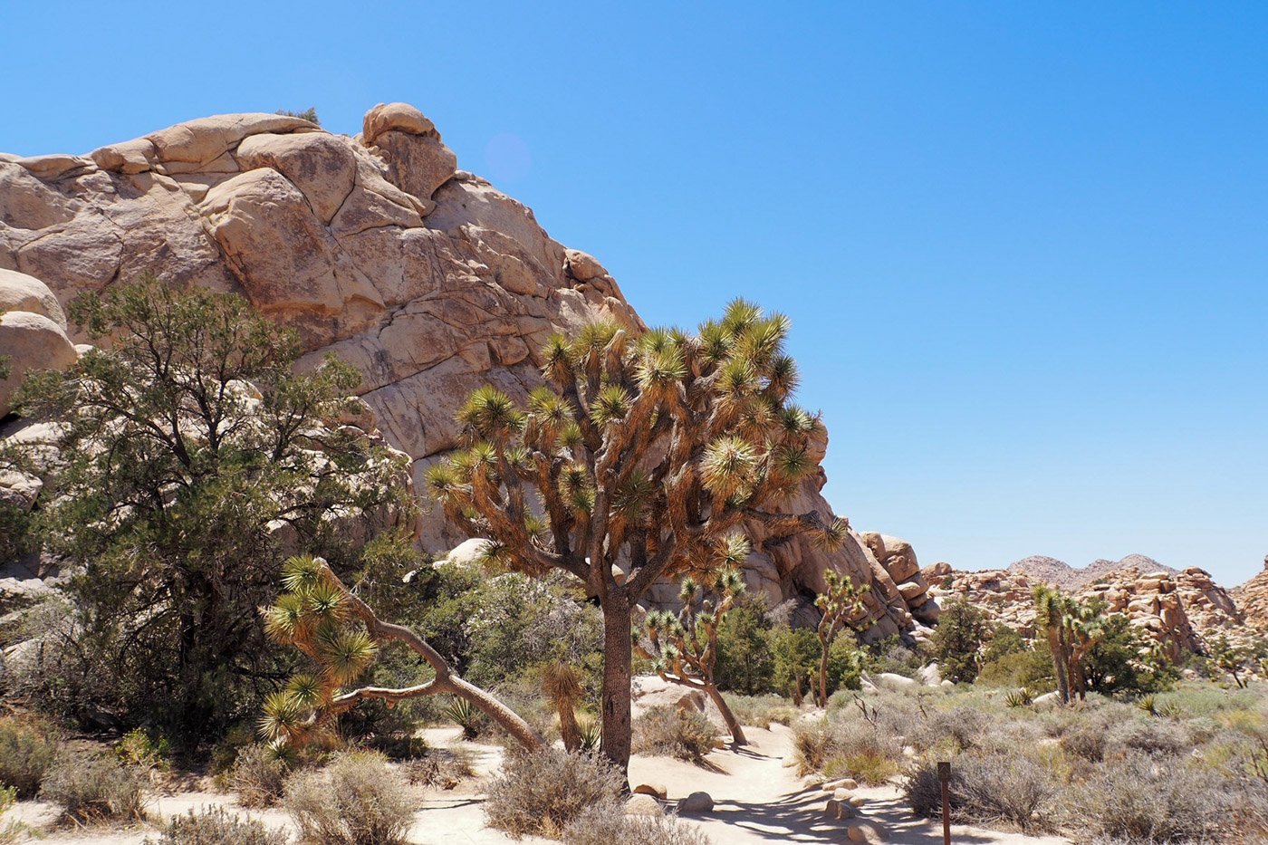 The Hidden Valley in Joshua Tree