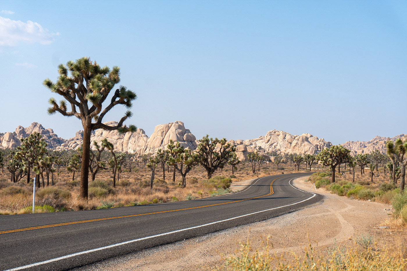 Stunning landscape inside the Joshua Tree Park