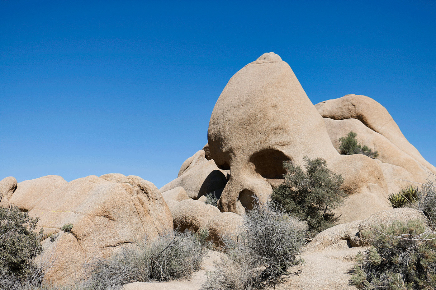 Detail of the Skull Rock in the Joshua Tree Park