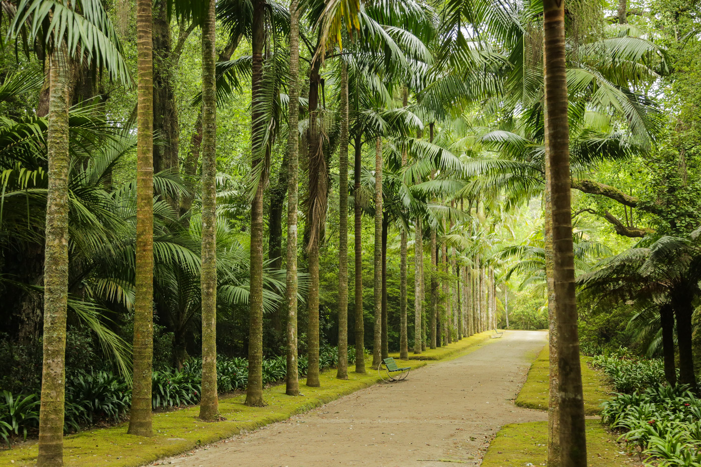 Terra Nostra Garden