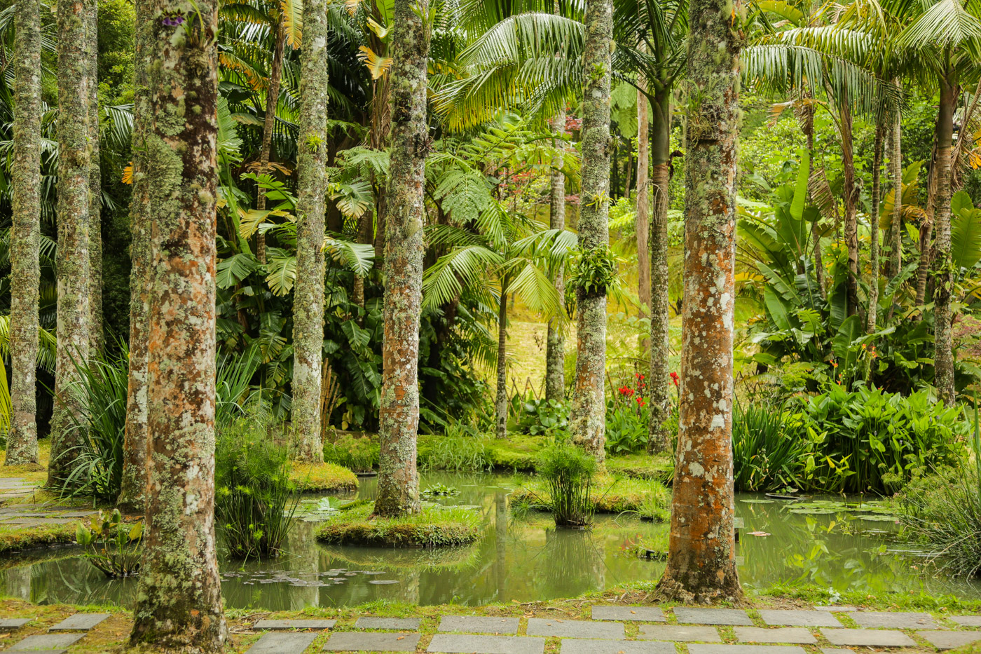 Terra Nostra Garden