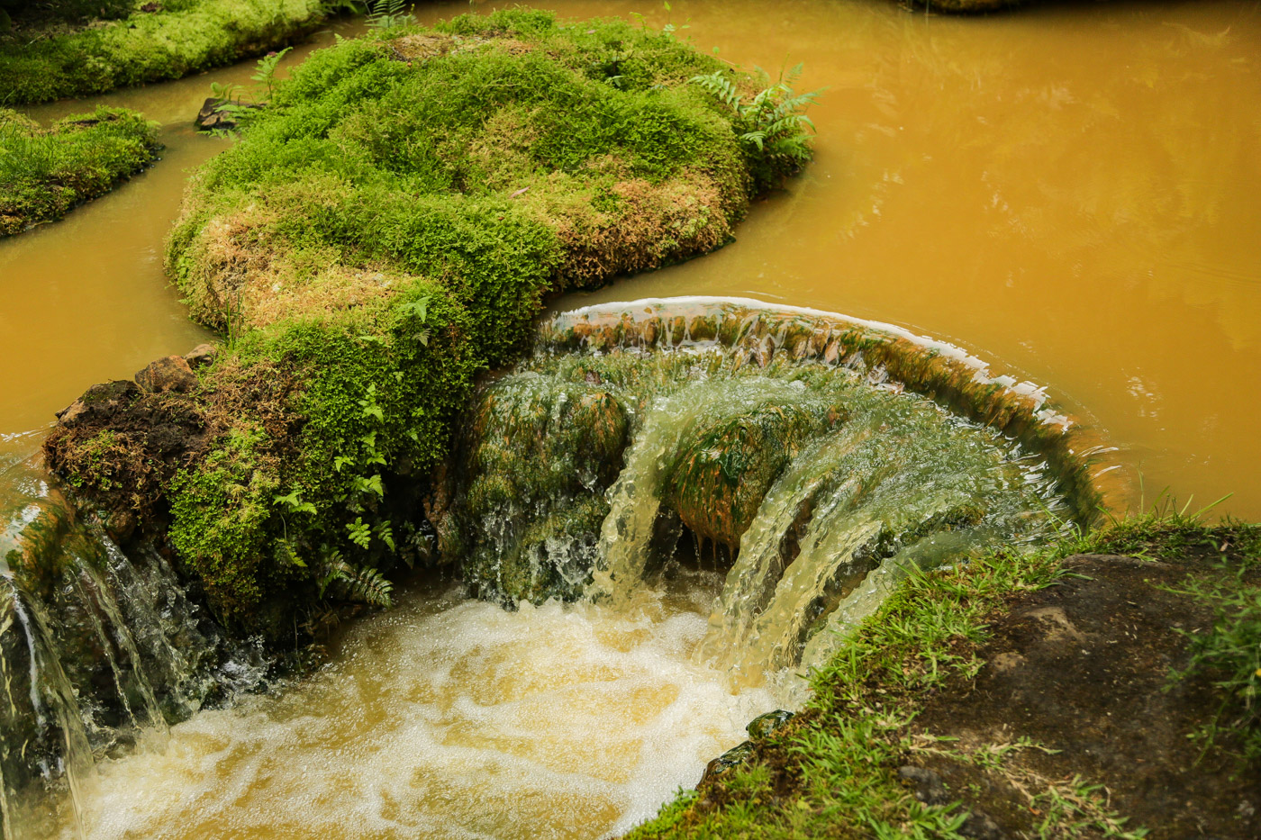 Terra Nostra Garden