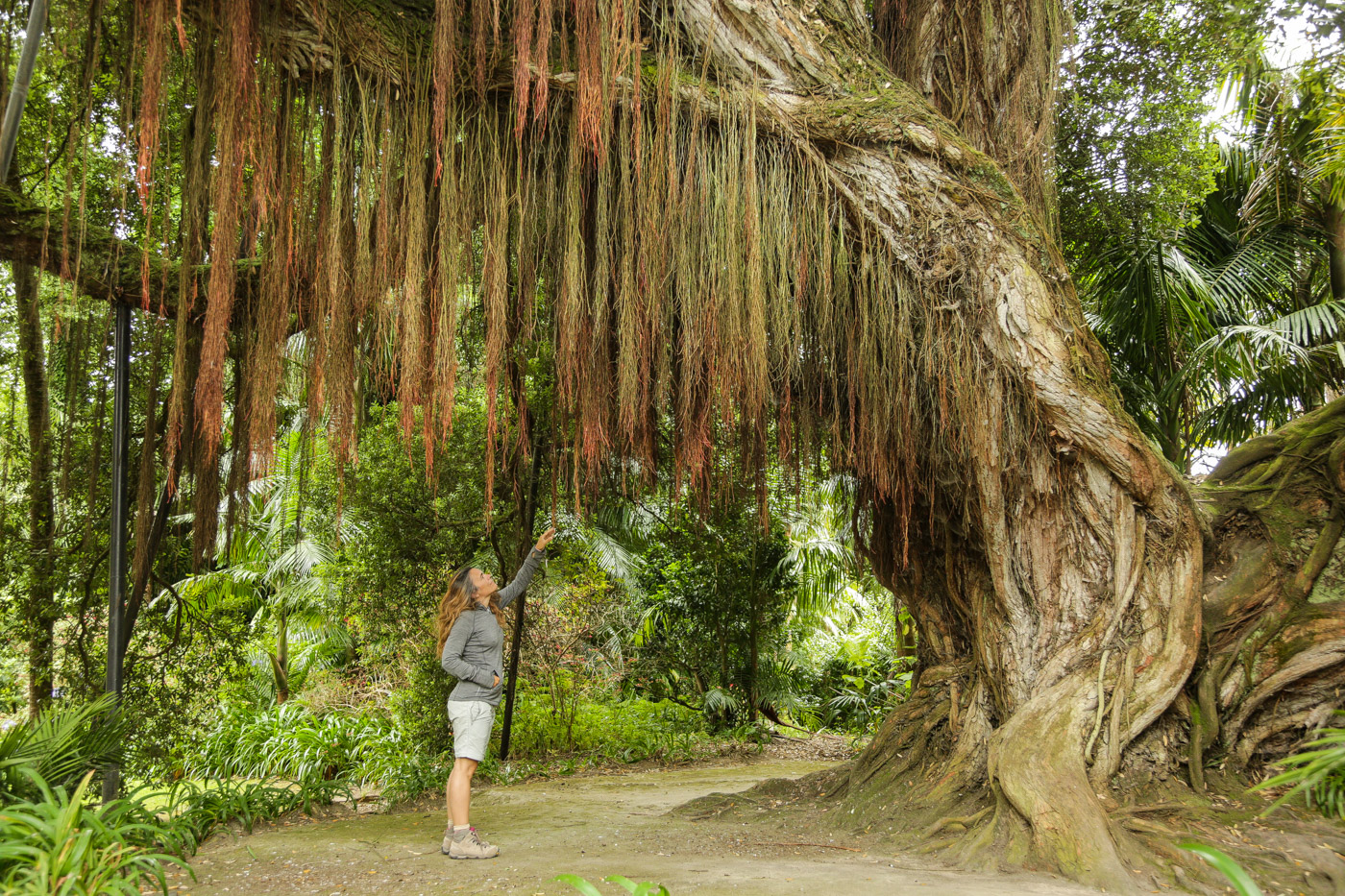 Terra Nostra Garden