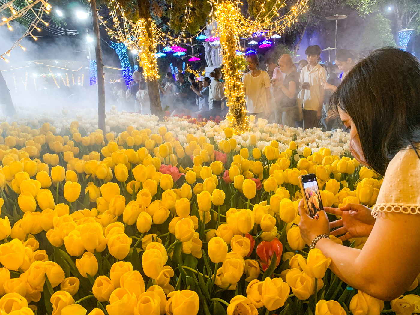 Chiang Mai flower festival-IMG_5858